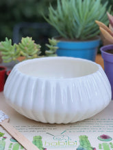 maceta-para-plantas-decorativa-artesanal-hecha-a-mano-decoracion-con-plantas-de-interior-purificadoras-de-aire-regalos-para-mujeres-jardineria-en-casa-habibi-plantitas_80347a73-ada2-407a-bc01-977c1cc34081.jpg
